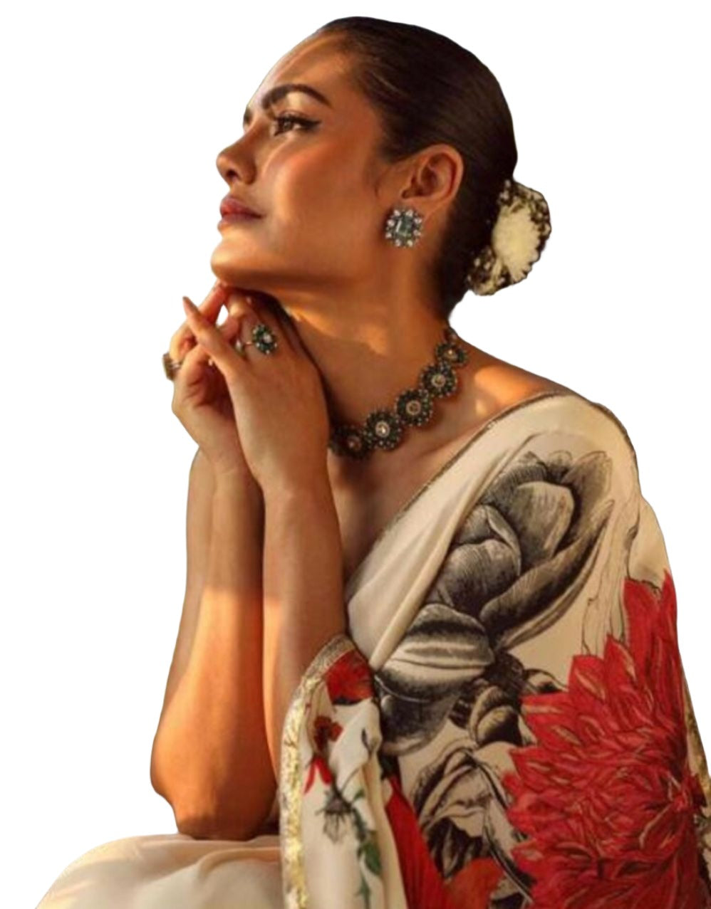 Bollywood celebrity Saree In Germany