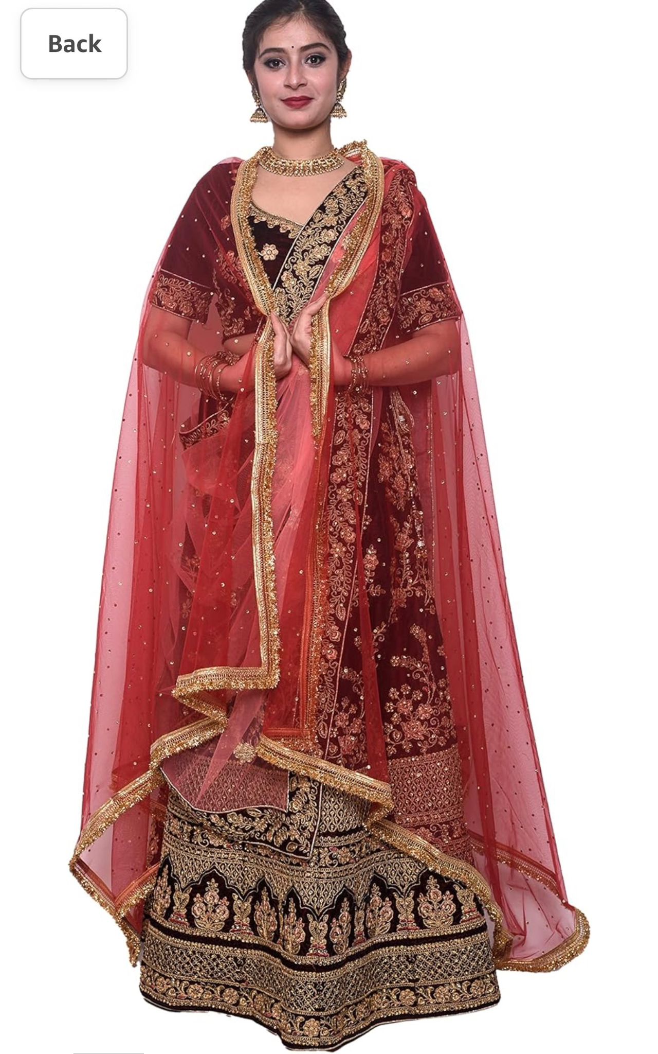 Women's net stone work shimmer lace dupatta