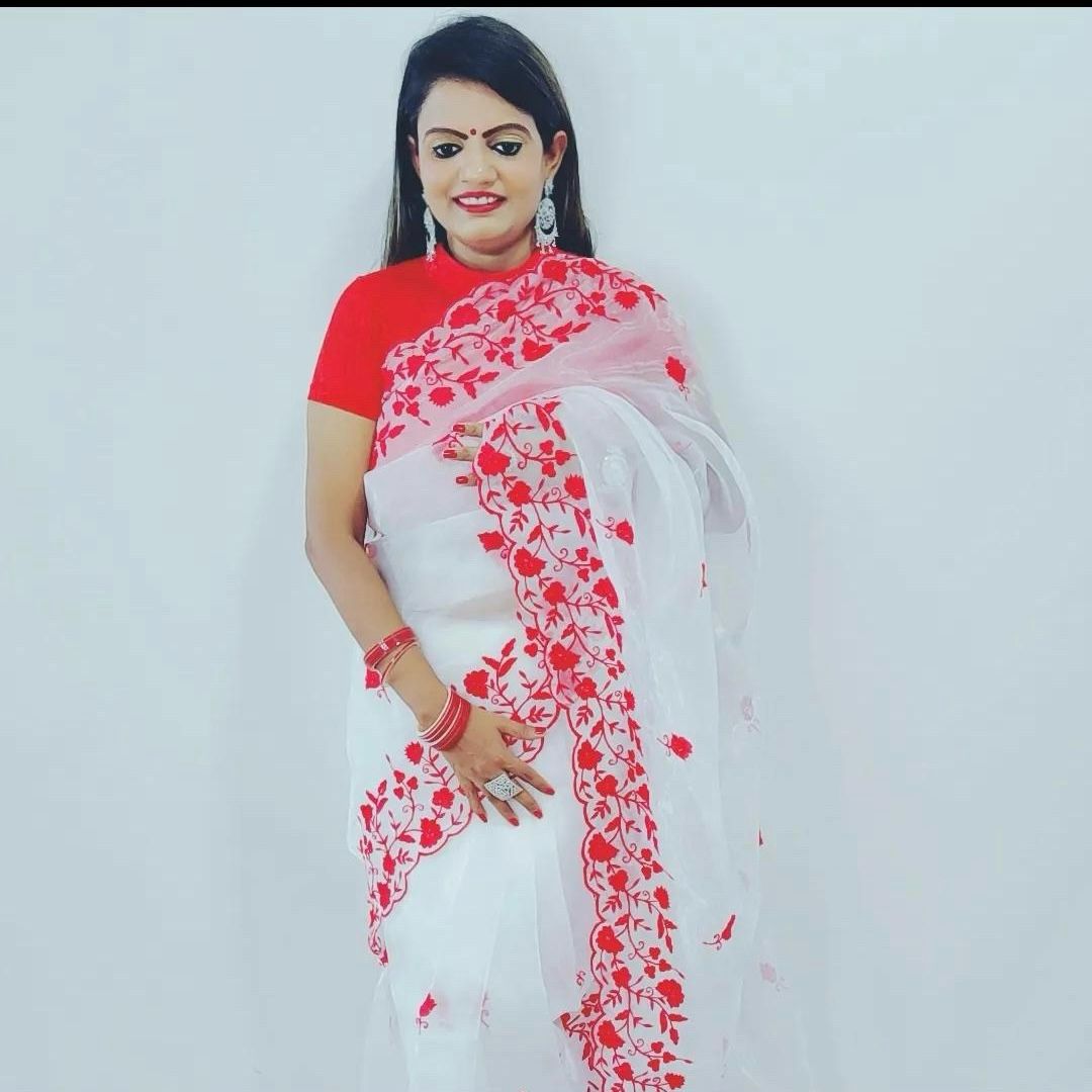 Durga Puja Special Organza Saree