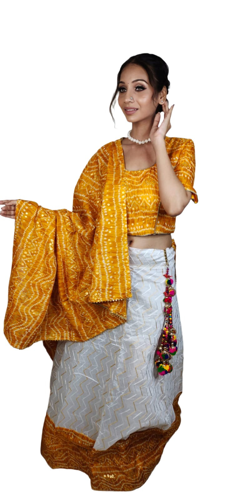 Navratri Chaniya Choli in Munich