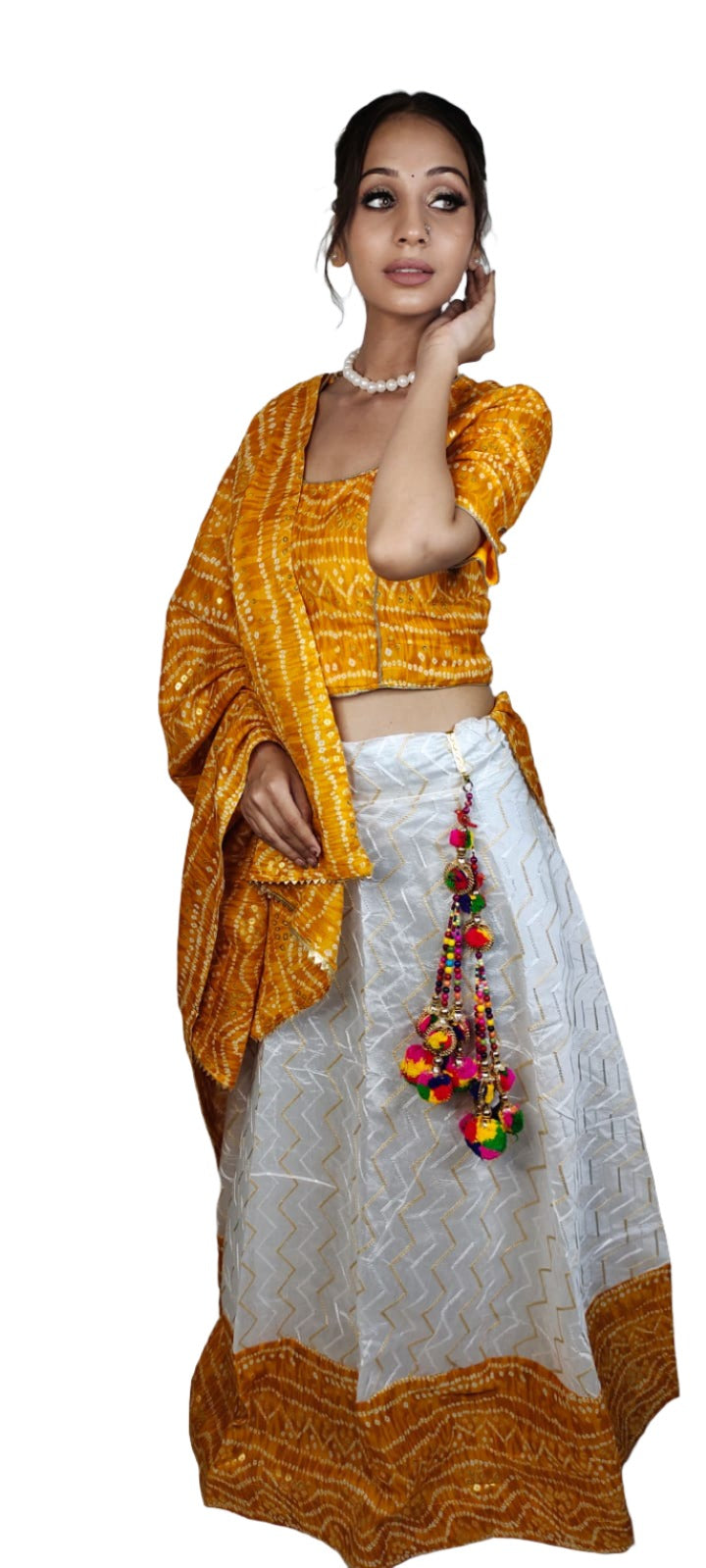 Navratri Chaniya Choli in Munich