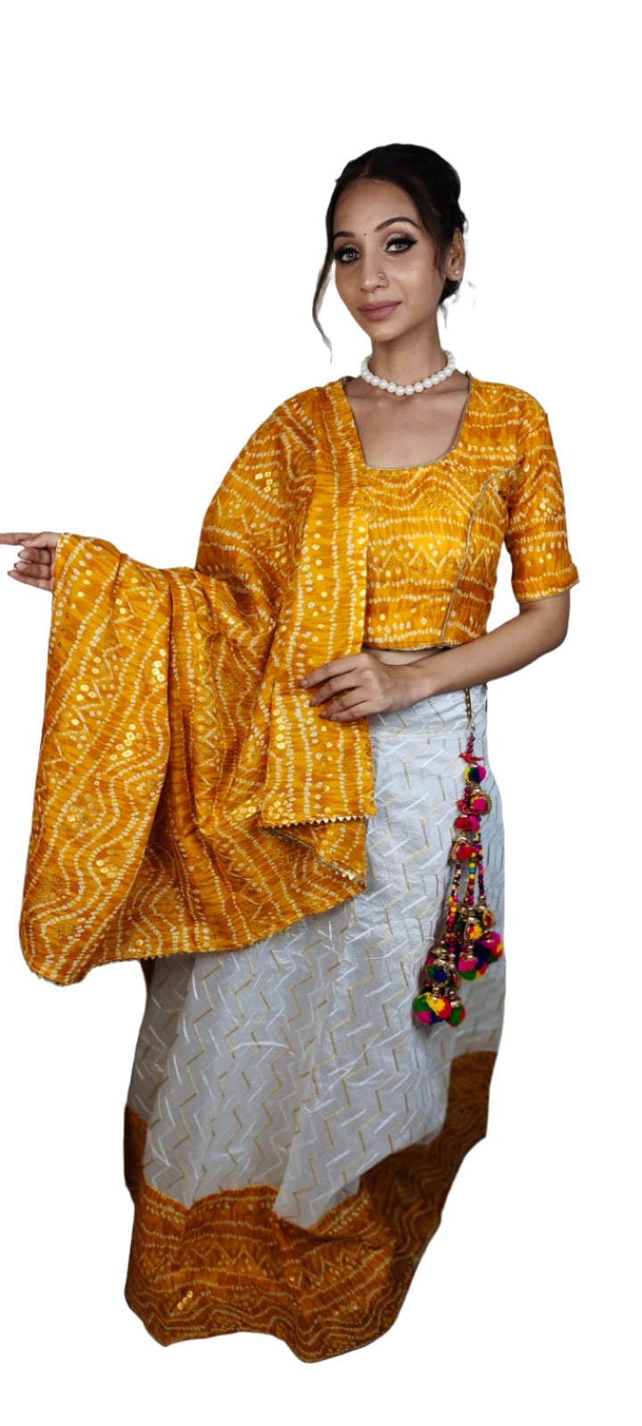 Navratri Chaniya Choli in Munich