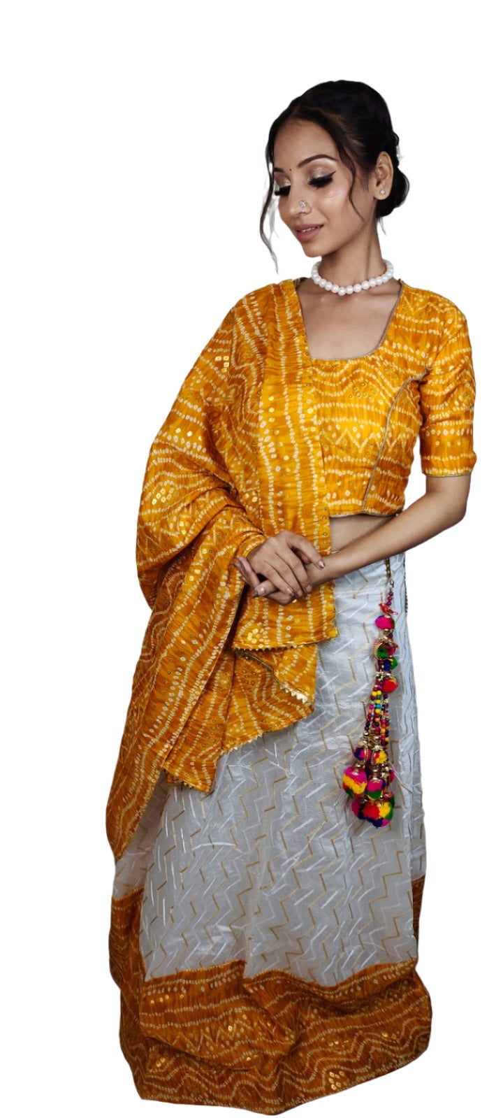 Navratri Chaniya Choli in Munich