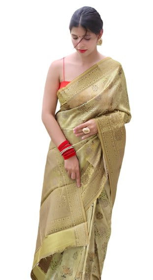 Indian silk saree in Germany
