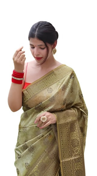 Indian silk saree in Germany