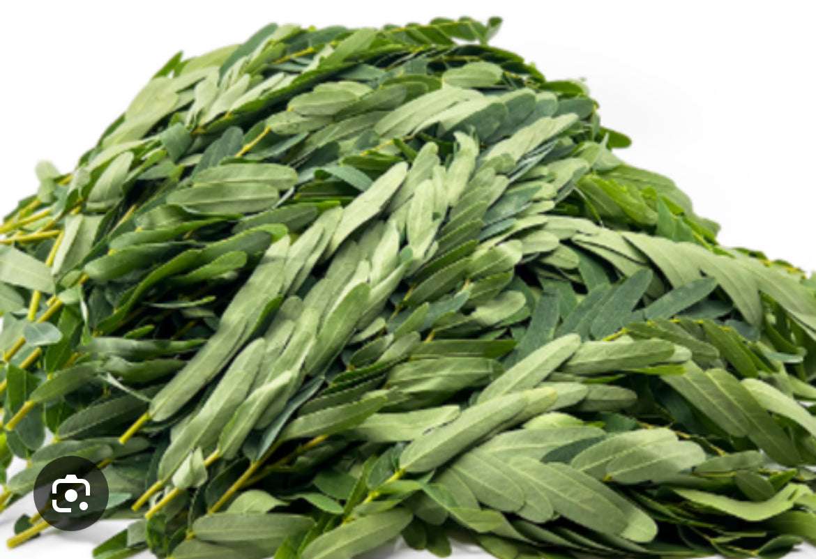 Agathi Leaves (Agase Soppu)