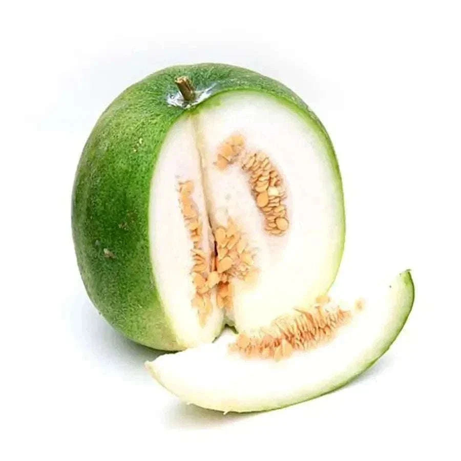 Ash gourd