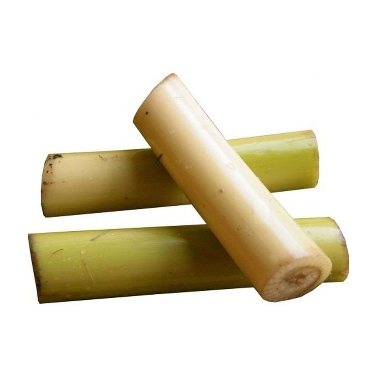 Banana Stem