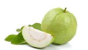 Guava