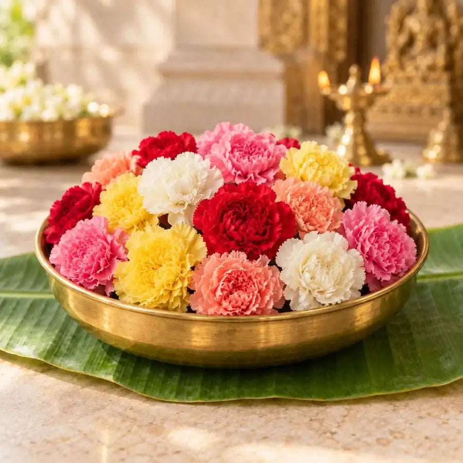 Carnation Mixed Colour (1kg)