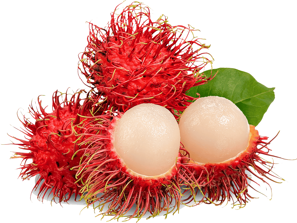 Rambutan