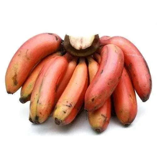 Red banana