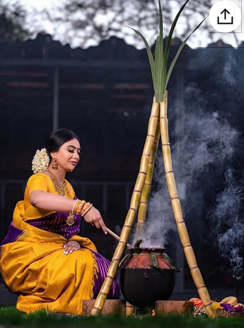 Banarasi Saree