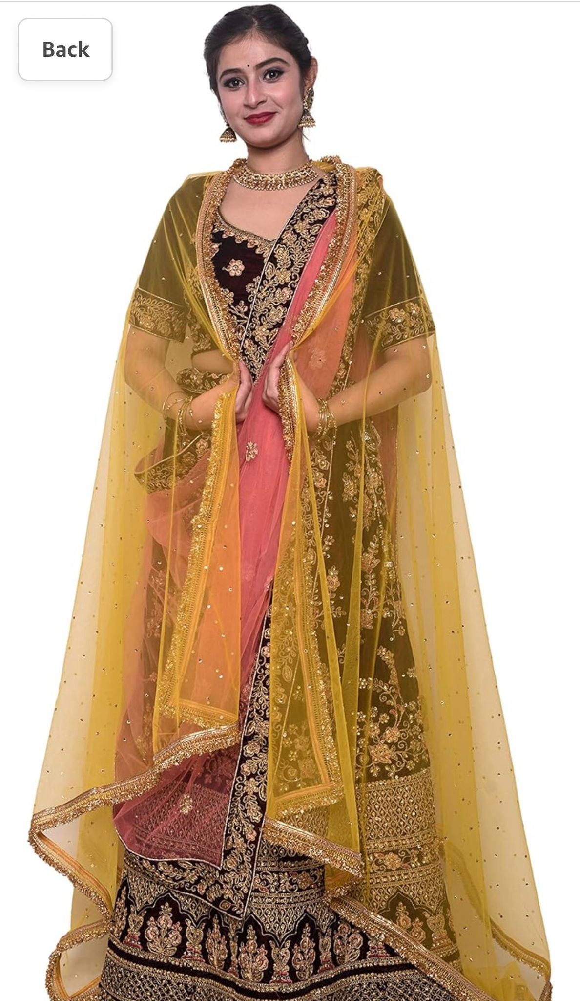 Women's net stone work shimmer lace dupatta