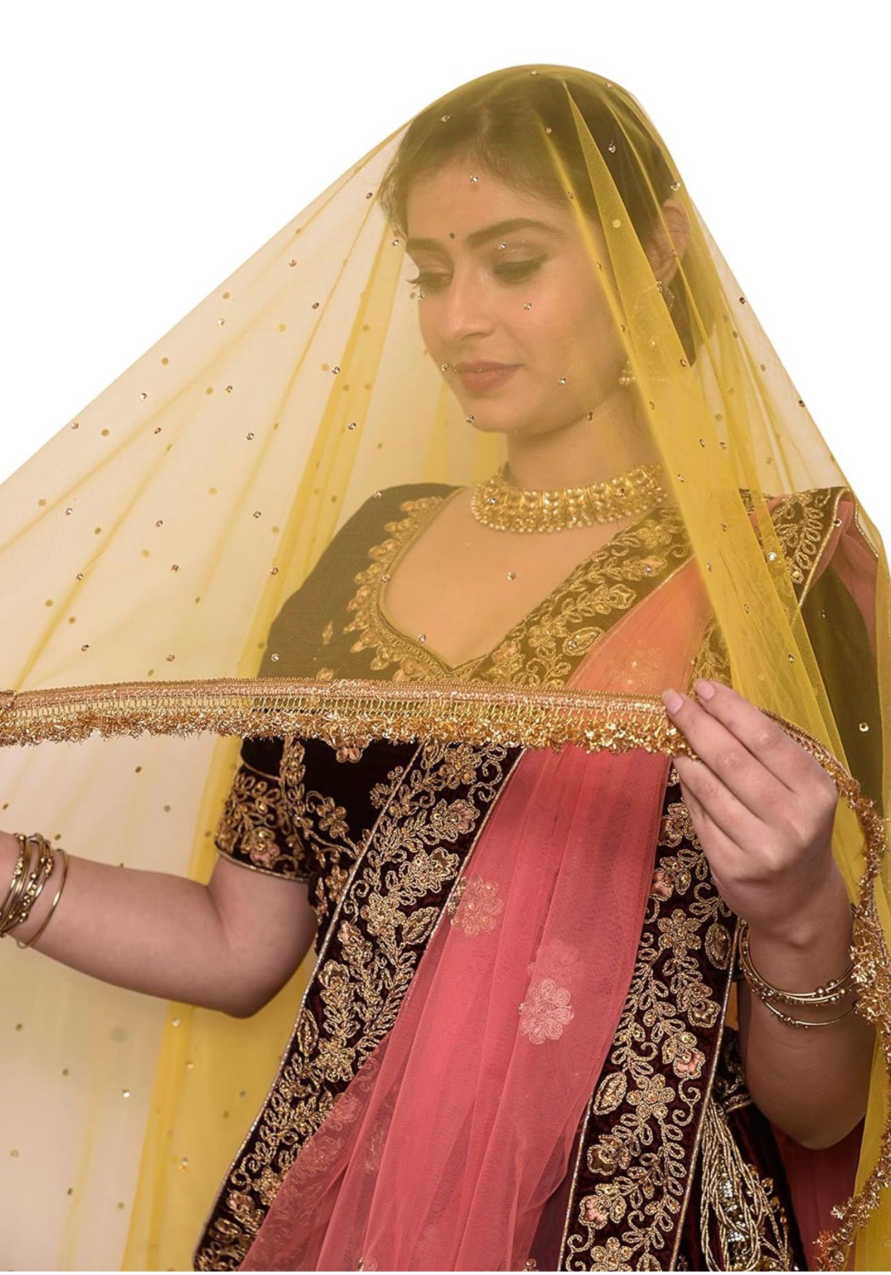Women's net stone work shimmer lace dupatta