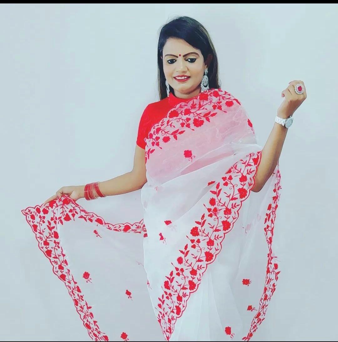 Durga Puja Special Organza Saree