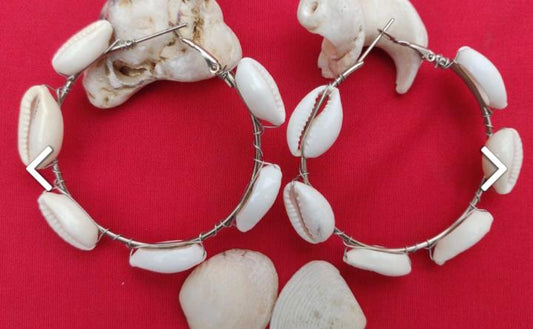 Sea Shell Hoop Earrings in Berlin