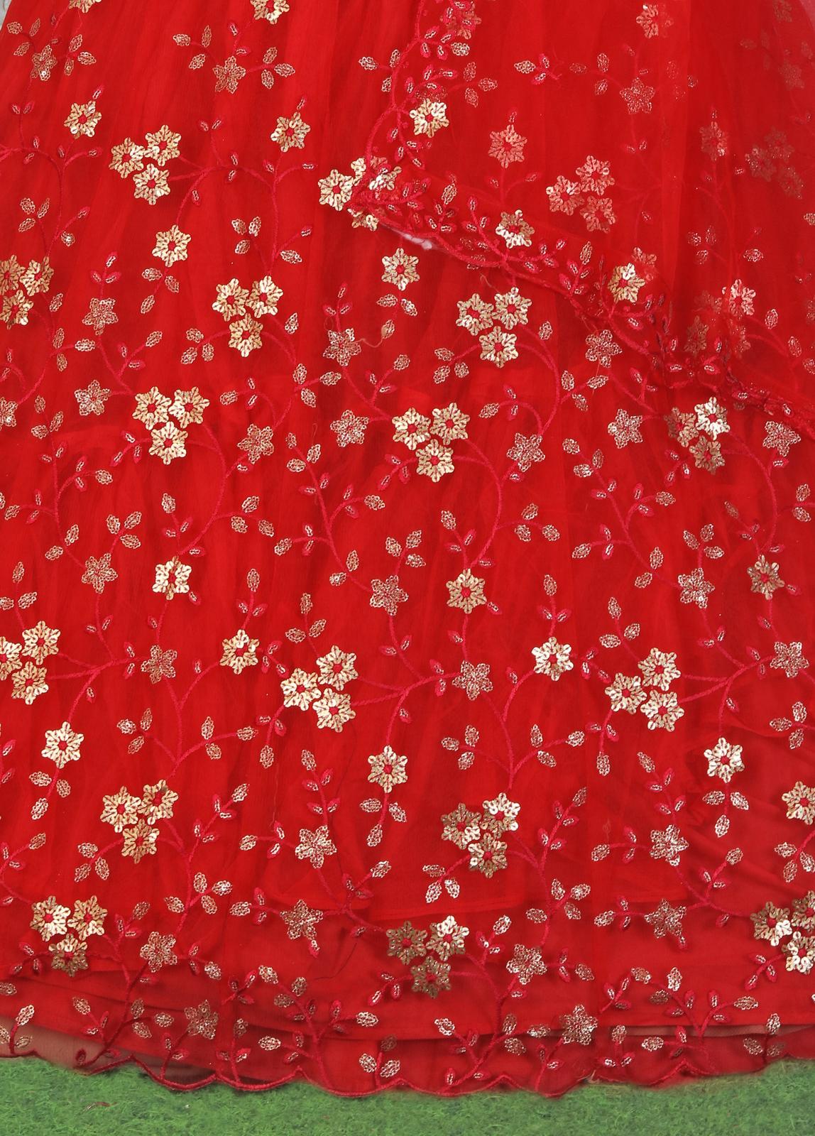 Beautiful Embroided net Lehanga in Berlin