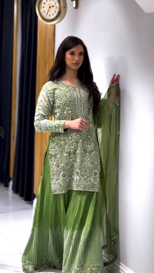 Heavy Pure Chinnon Silk Embroidery Sequence Work With Moti Work With Full Sleeve in Germany