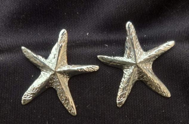 Contemporary Brass Handmade Silver Plated Mother of Pearl Star Earring in  Munich