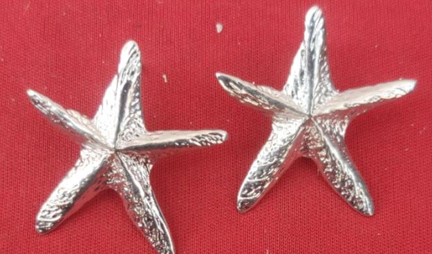 Contemporary Brass Handmade Silver Plated Mother of Pearl Star Earring in  Munich