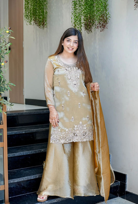 Biege Silk And Heavy Embroidery Sequence Work Top-Bottom And Dupatta Set in Germany
