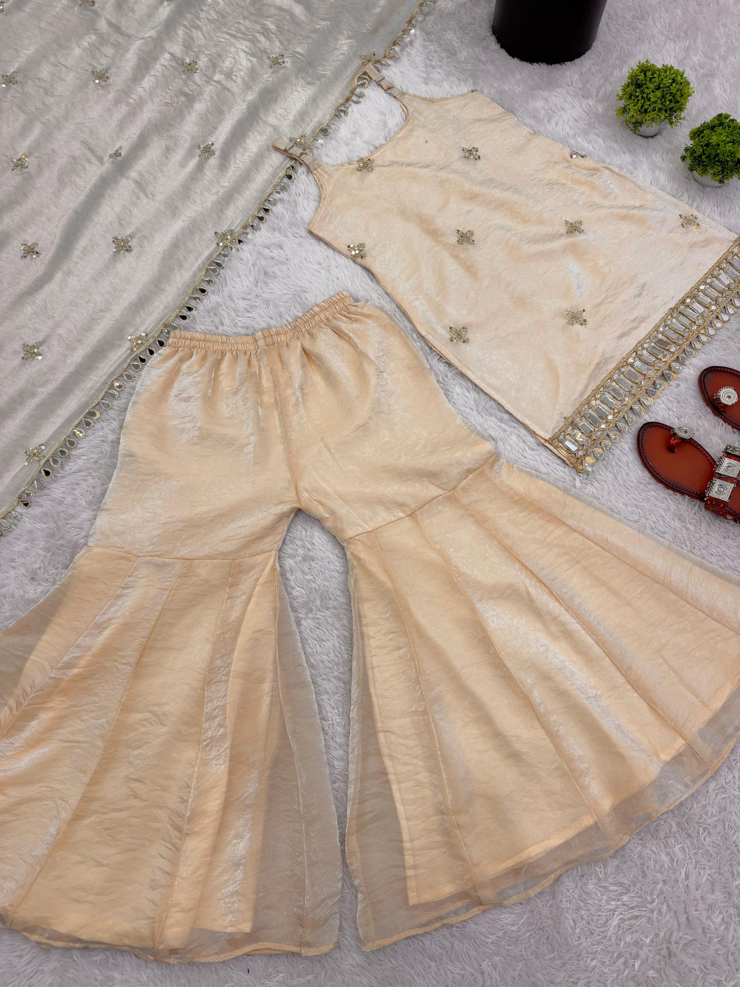 Premium Embroidery Sequence Work with real Mirror work Suit in Berlin