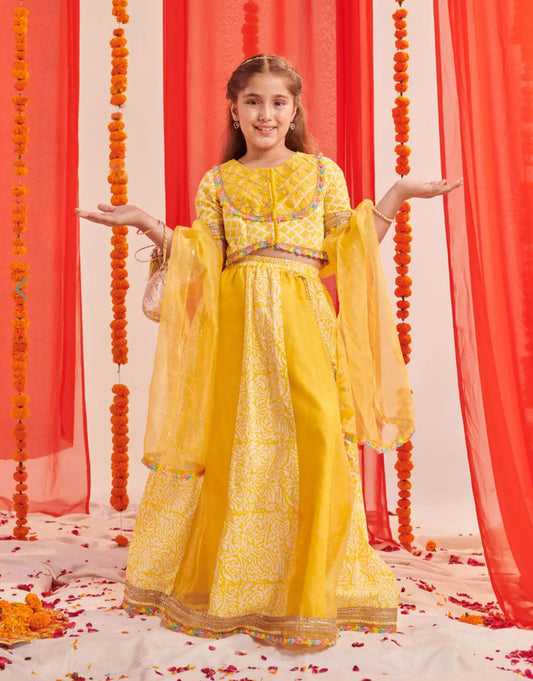 Girls Yellow Regular Fit Printed Lehenga Choli in Germany