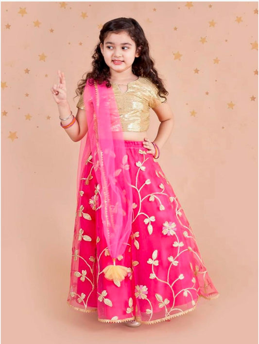 Girls Lehenga Choli in Germany