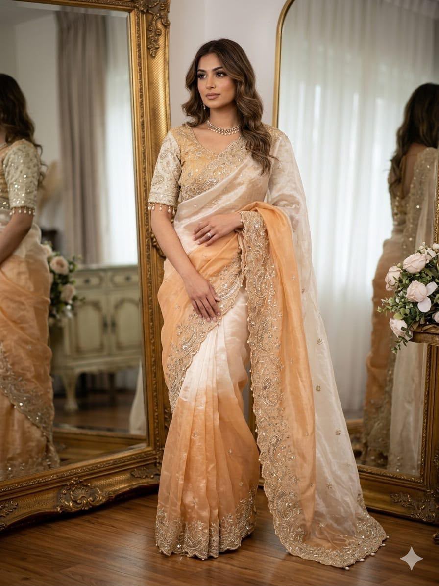 Shaded Ombre Designer Organza Saree and stitched Blouse in Germany