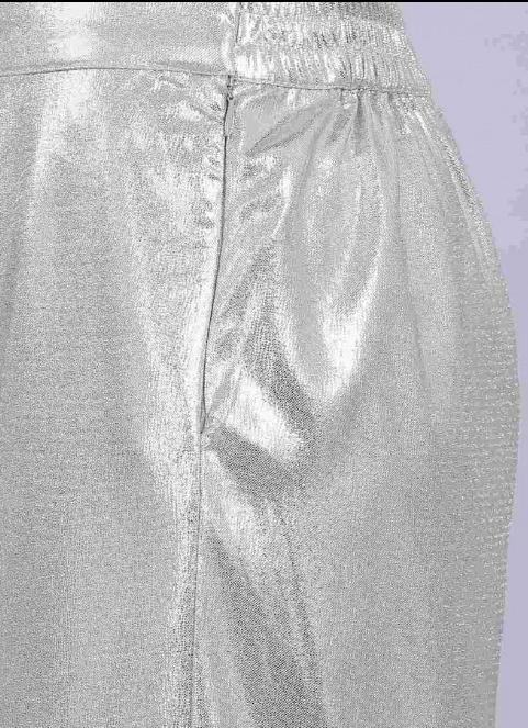 Silver Glitter Pants in Germany