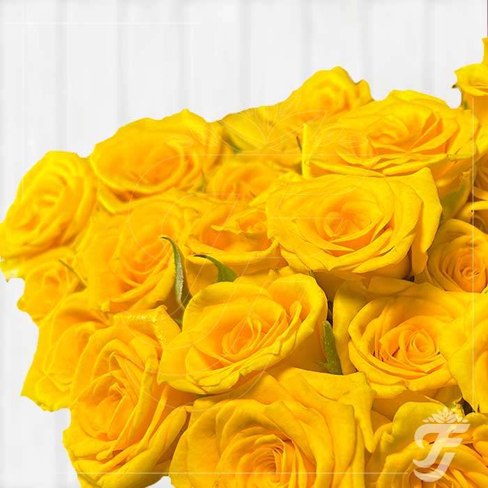 Button Rose Yellow