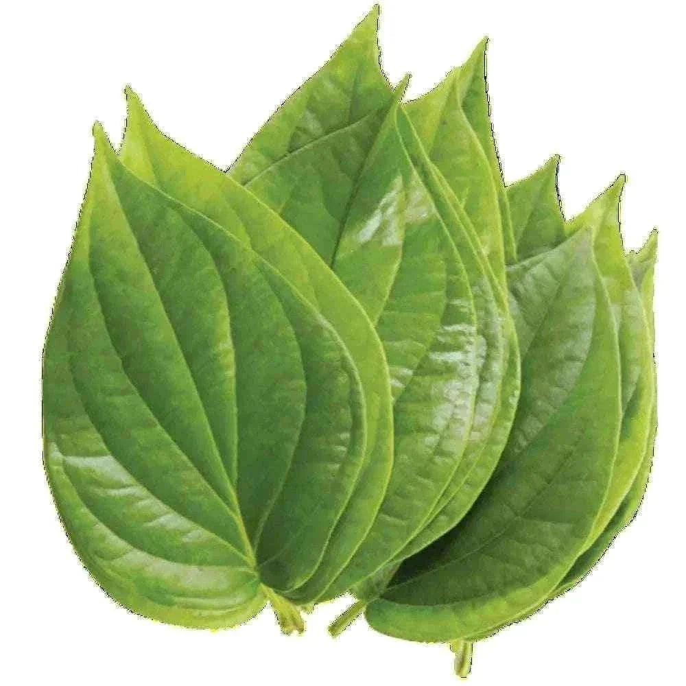Betel Leaves 6pcs