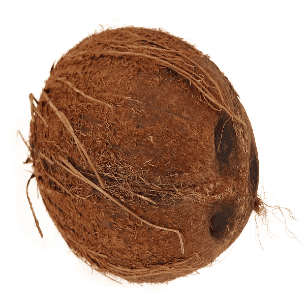 Fresh Coconut with out hair 1pc