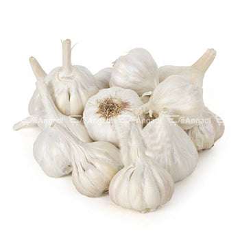 Fresh Garlic
