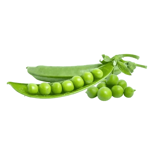 Fresh Mattar / Green Peas