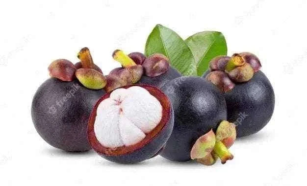 Mangusteen