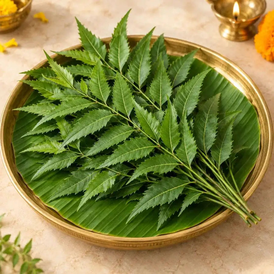 Fresh Neem Leaves – 10 Stems