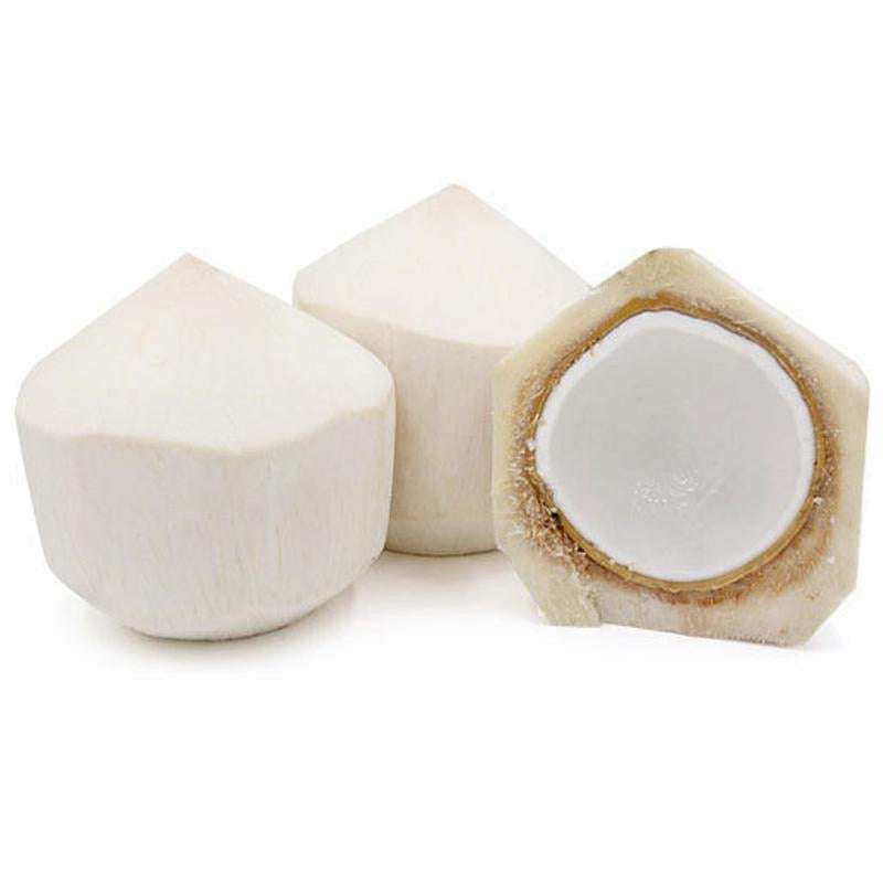 Tender Coconut - 1 stuck ( Thailand )