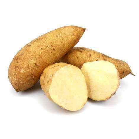 White Sweet Potato