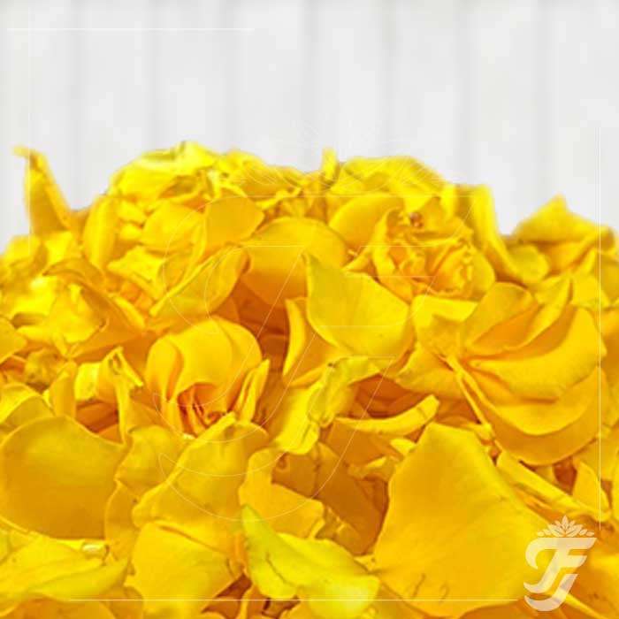 Fresh Flowers