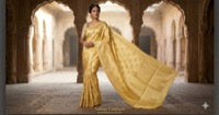 Organza and Tissue Sarees